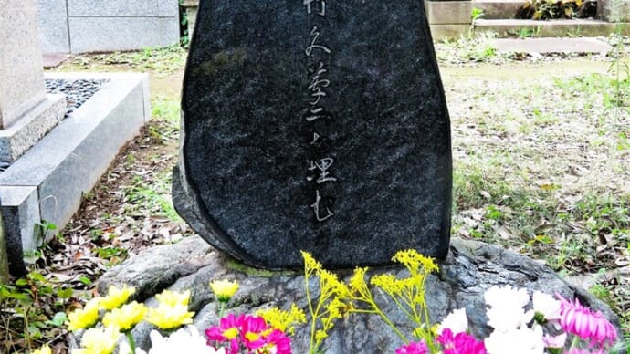 第13回「父の死の秘密」(竹久不二彦)
