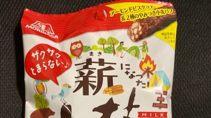 薪になった小枝 薪小枝