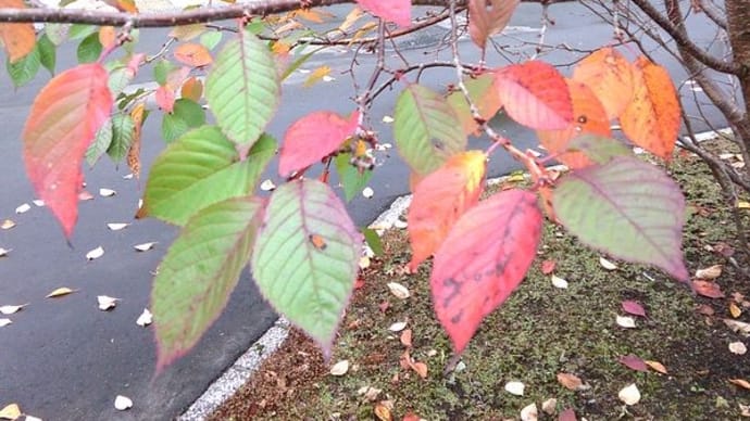 北の街ではもう(1日目)