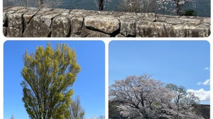 同窓会を開催しました