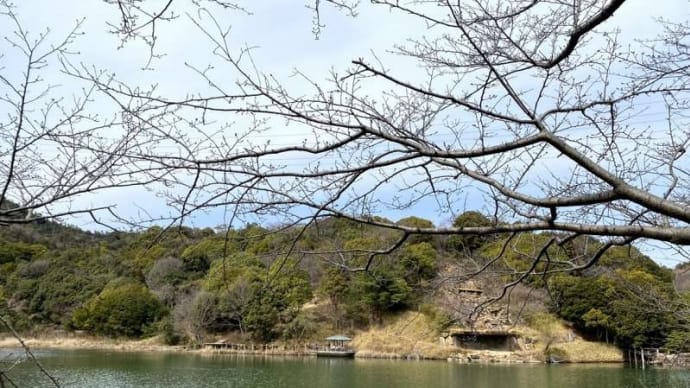 桜の名所金光町の丸山公園」、明るい陽射しの下歩いてみた 私のこの力技を見よ!「元気玉」?