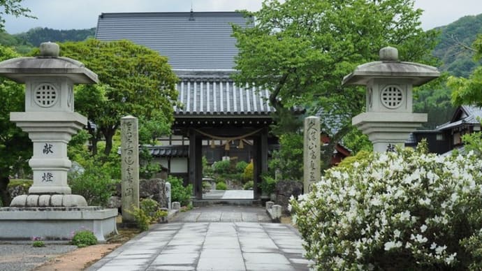 全長寺の5月