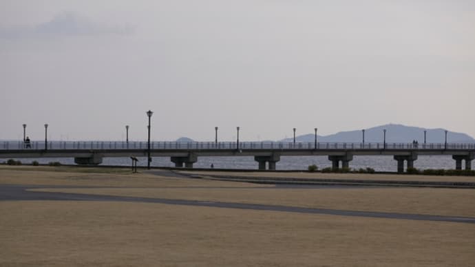 寒風の中の竹島