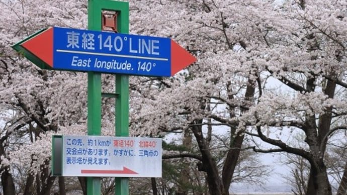 大潟村　菜の花ロードの桜