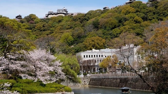 広大な平山城、愛媛県松山市の松山城