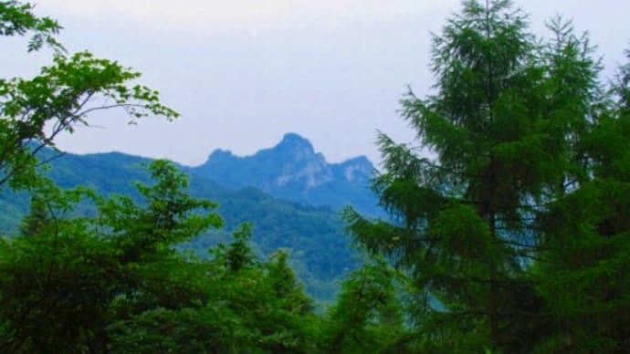 ふたたび上州南牧村へ・・・田口峠を行く
