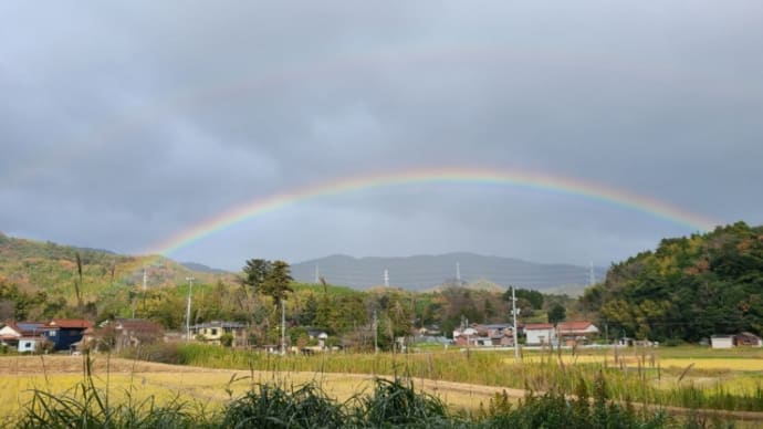 🌈大きかったなぁ~ෆ╹ .̮ ╹ෆ