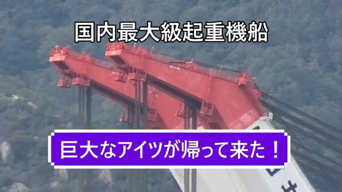 巨大なアイツが帰って来た!国内最大級『武蔵』