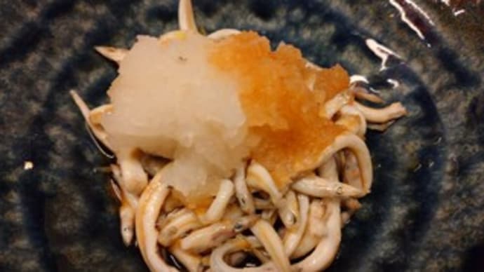 春告魚
