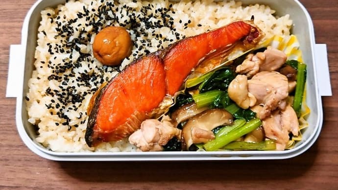 今日の手作り弁当(発芽玄米ごはんの焼鮭と鶏肉のオイスター炒め弁当)(2024年9月3日)