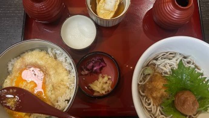 和歌山の博物館に行ったよ