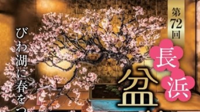 「長浜盆梅展」夜間ライトアップ・早川鉄平コラボレーション~慶雲館~