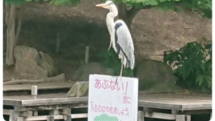 私をみて~~モデル気分