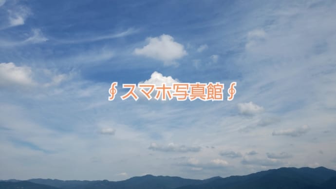 ∮スマホ写真館∮