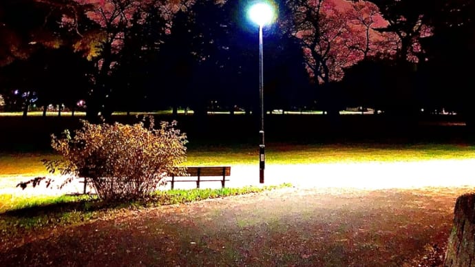 2022年11月に読んだ本