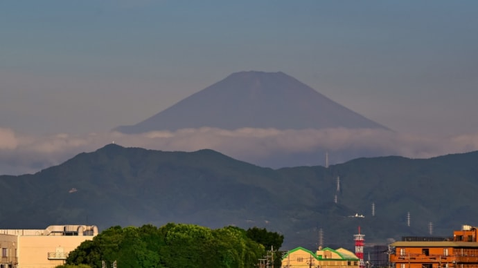 31/Jul  朝焼けの富士山とオオヨシキリとカワセミと鉄砲百合