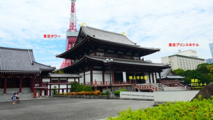 今週の予定 2025年6月8日(日)~2025年6月14日(土)