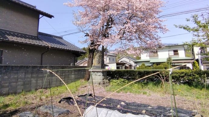 余りに天気が良いので、農作業を放棄して散輪