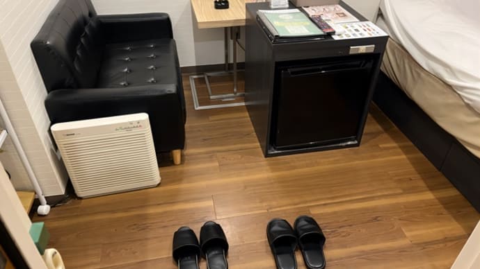 【五反田】ホテルピース