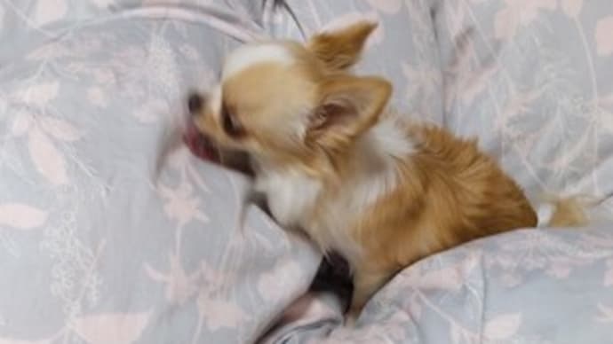 肋骨が痛いのよ
