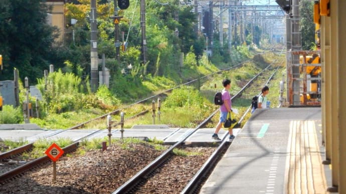 緑草繫茂 【中野島駅:南武線】 2019.9.20 (タイトル修正)