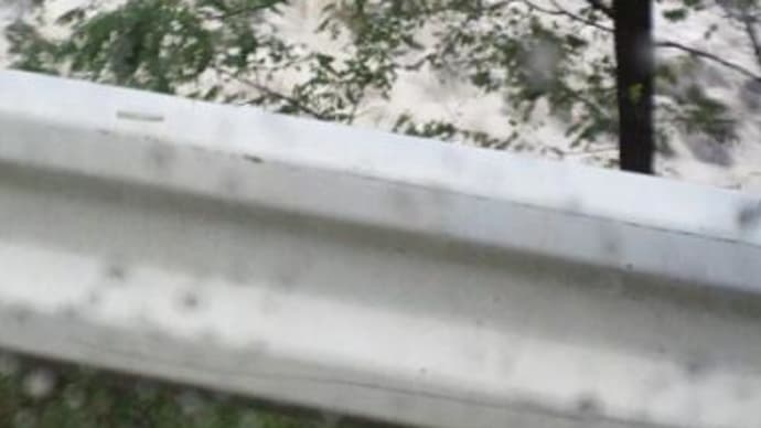 台風15号 Roke (ロウキー)