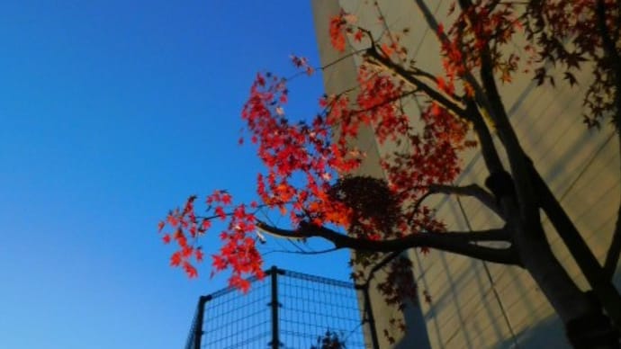 12月13日 大引け 日経平均 27,954.85 (+112.52)小高い・5G普及で「スマホ消滅」も、市況転換予想