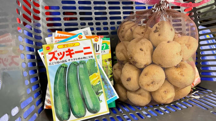 種、種芋を買いに〜有機野菜始めました!〜