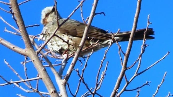 泉北水再生センター近辺から鈴の宮公園