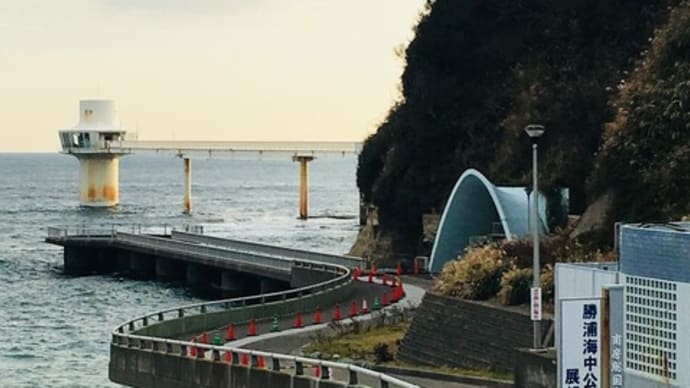 千葉県勝浦市 かつうら海中公園 海と白い塔