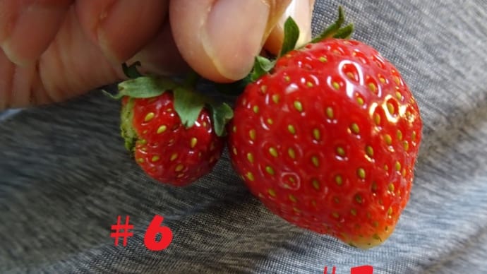 デジタルデトックス