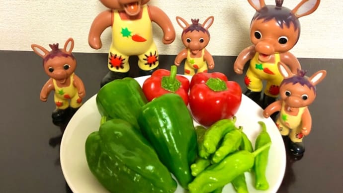 ロバくんと収穫した野菜たち