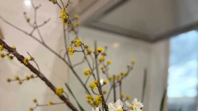 家の中にも花を