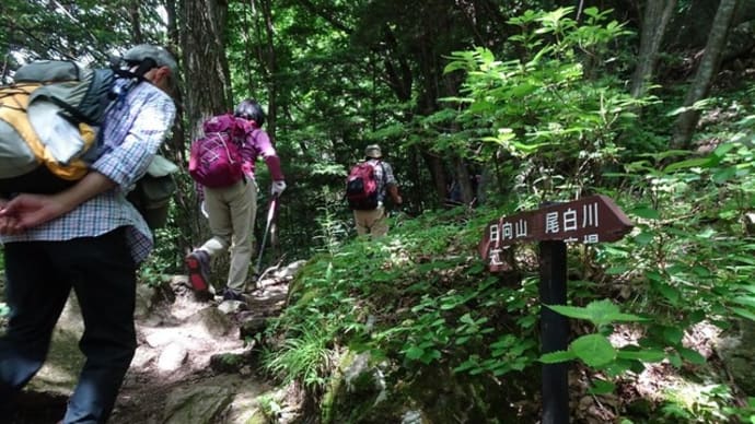 日向山ハイキング 矢立石で再スタート