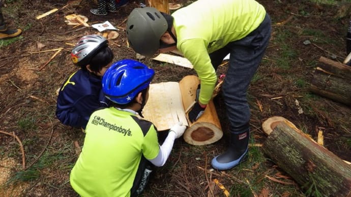 北陽小学校の児童が林業体験