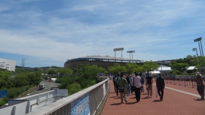 2024世界パラ陸上競技選手権大会　IN　Kobe・:,。*:☆゜・o○☆*:*:..。o☆
