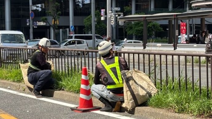 分離帯の雑草を取っていました・・・が!