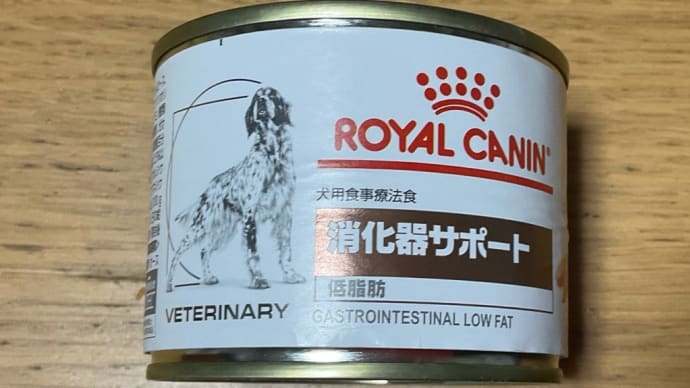 🐶フェリシア🐶