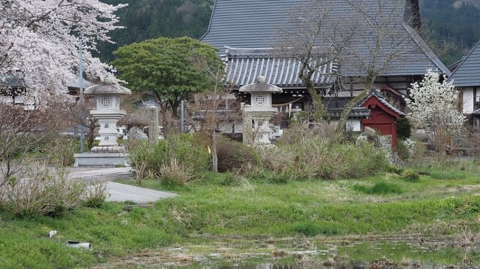全長寺の春
