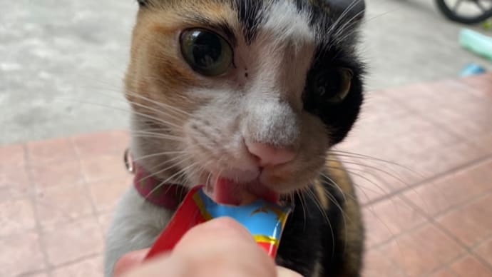 今日な1日。