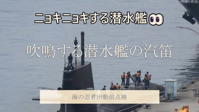 吹鳴する汽笛👂ニョキニョキする蒼龍型潜水艦を見てみよう🐳
