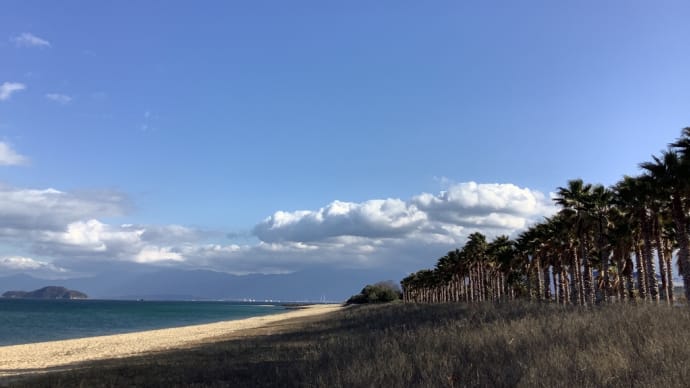 静かな海に見えますが、、