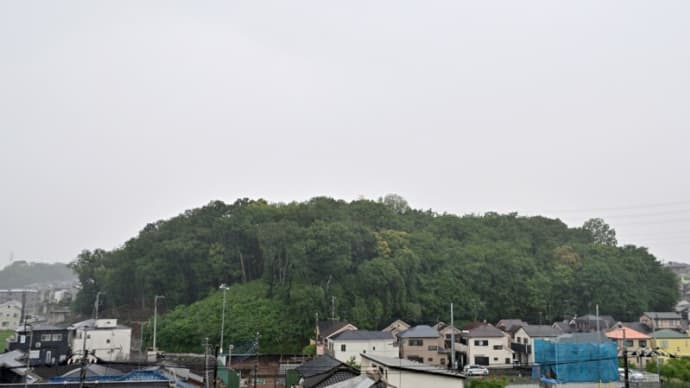 05月19日 一日中雨降りの気分。