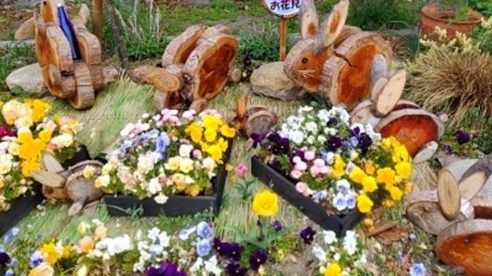 ウサギのお花見 市民の森公園 アマゾンの置き配 スマホの保護フイルム