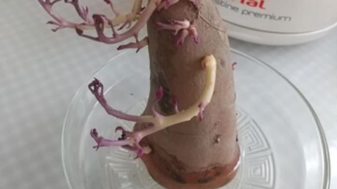 怖かったり綺麗だったり美味しかったり