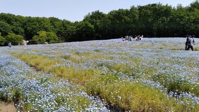 10倍返しもできるかも