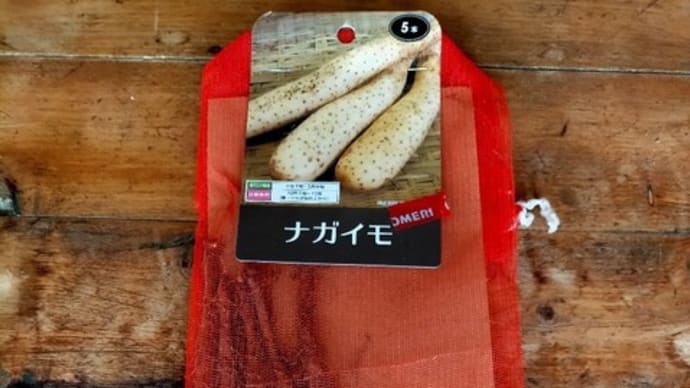 そろそろ植えるか