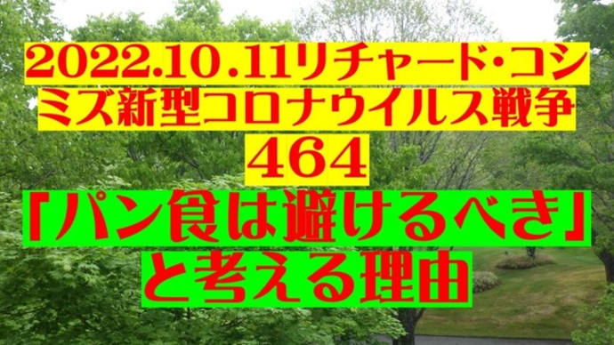 2022.10.11リチャード・コシ ミズ新型コロナウイルス戦争 464動画を公開します。