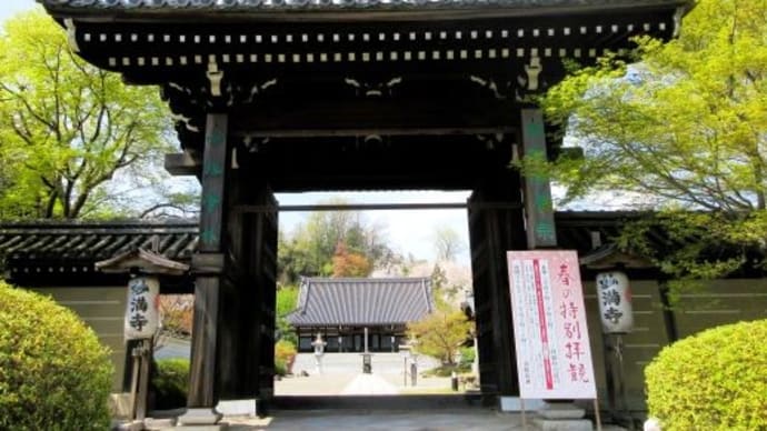 ★「そうだ京都、行こう。30th」妙満寺の森、サクラ山へ