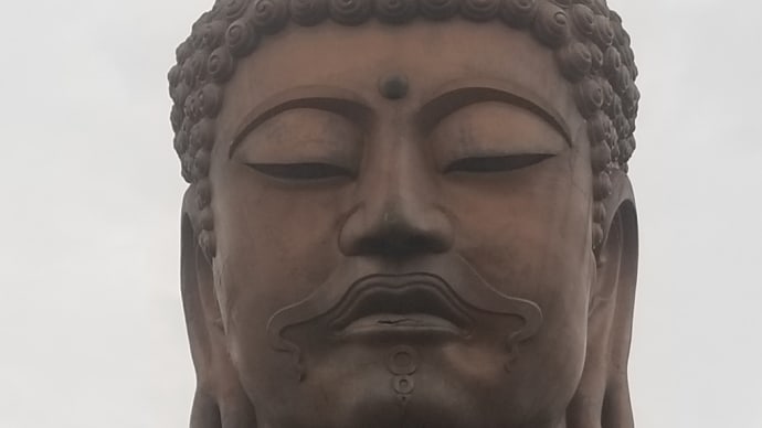 サイクリング♪ヤッホー♪ ~ 聚楽園大仏 ~